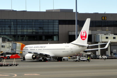 JALB-737-800JA32J.jpg