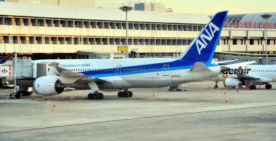 ANA's B-787-8, JA835A, at Singapore, at Sunrise