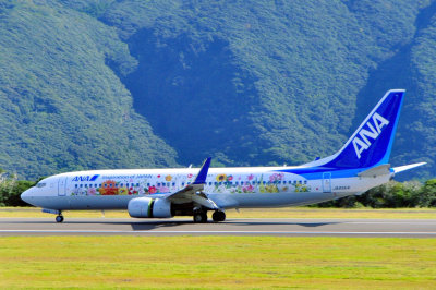 ANA's B-737/800, JA85AN Flower Power Landing 