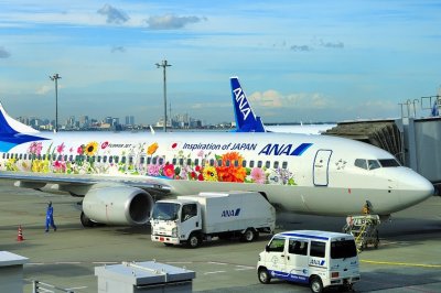 ANA's B-737/800, JA85AN, Flower Power