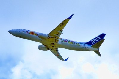 ANA's B-737/800, JA85AN, Flower Power Missed Approach