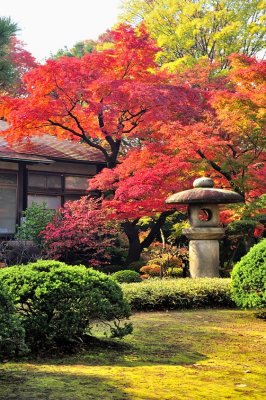 Fall in Japanese Garden
