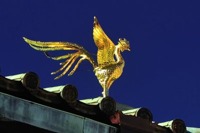 Golden Bird On Temple Roof