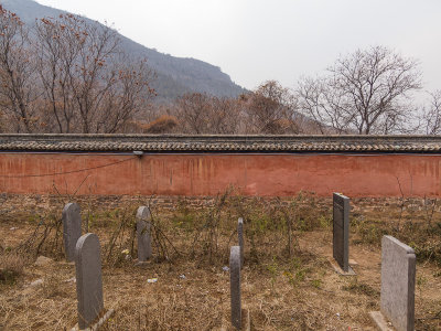 The Shaolin Temple