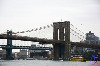 Brookklyn Bridge and Manhattan Bridge
