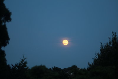 Super Moon 8.29.15 - Portsmouth, Rhode Island