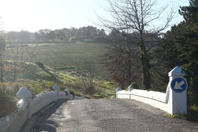 Vinyards