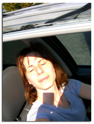 Spring Sunroof SP