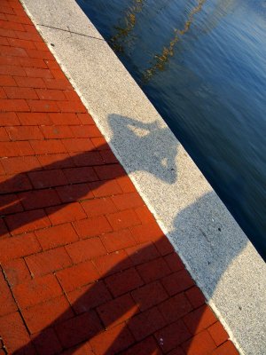 Me and My Shadow Inner Harbor