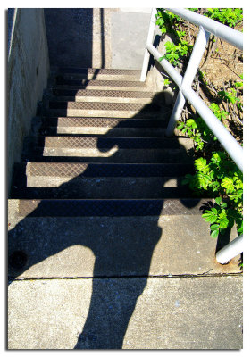 Going Down Stairs SP