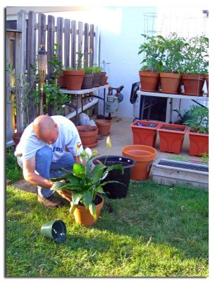 In His Garden