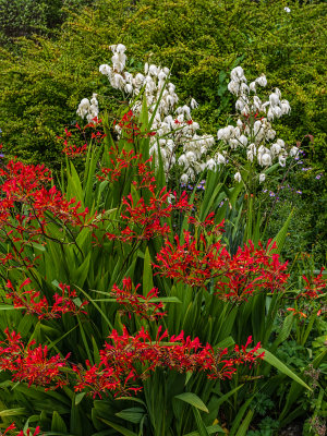 Tapeley Park