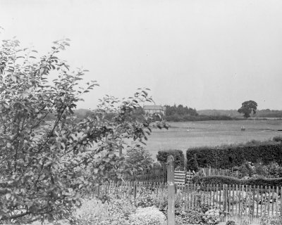 Back garden c1954