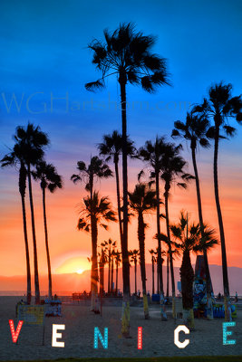 Venice Sunset Palms