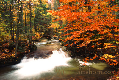 Franconia Notch Creek