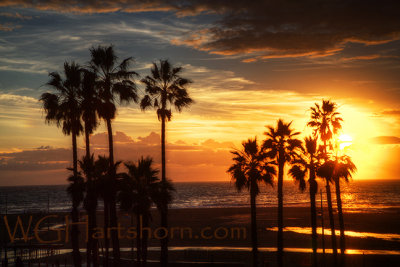 Pico Palms Sunset