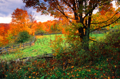 Black Hills Ranch Vermont Copyrighted.jpg