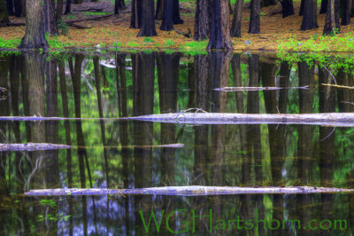 Reflections of Yosemite