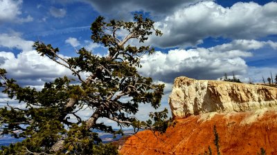 Bryce Canyon