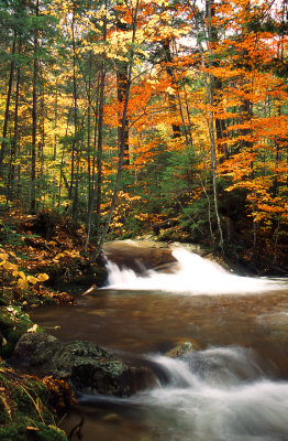 Franconia Notch Creek