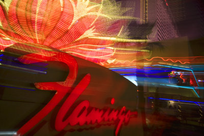 Flamingo Neon Las Vegas 