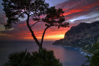 Capri Cove Sunset