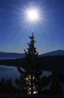 Emerald Bay SunStar Silhouette