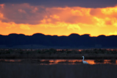 Tramonto sulla Diaccia Botrona - Sunset on Diaccia Botrona