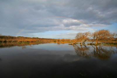 rainbow on the marsh