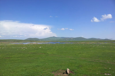 Wetland in Eastern Anatolia