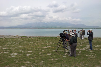 Birding by Süphan Dağı