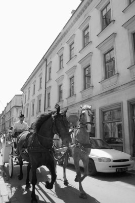IMG_3496.jpg