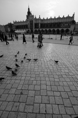 IMG_8992.jpg