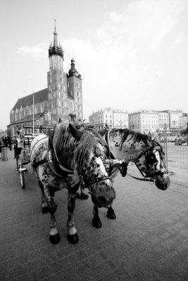 IMG_9001.jpg