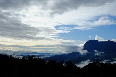 DSCF7104.JPG