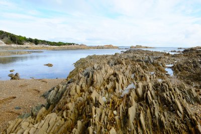 DSCF7018.JPG