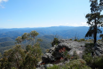 From Ben Cruachan Victoria towards Mt Margaret