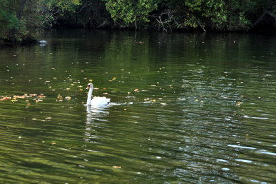 Quiet lake