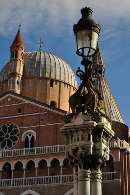 St. Anthony  - Padua