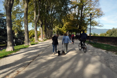 Lucca bike / walking trail