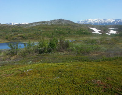 Landscape