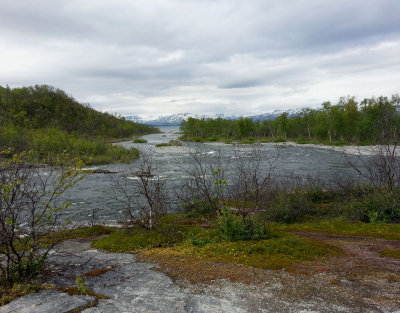 Landscape
