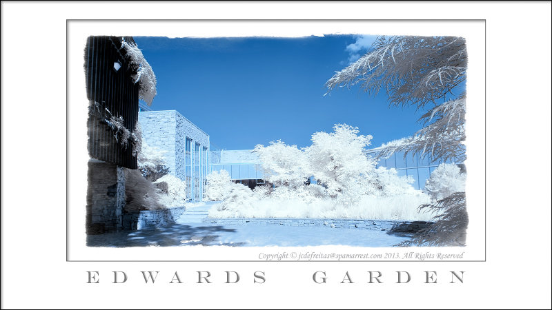 2013 - Toronto, Ontario - Canada (Infrared)