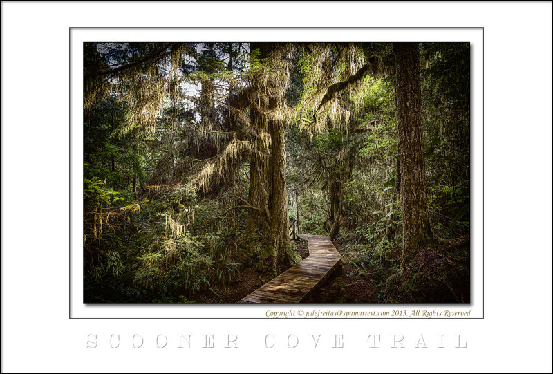 2011 - Pacific Rim National Park - Vancouver Island, BC - Canada
