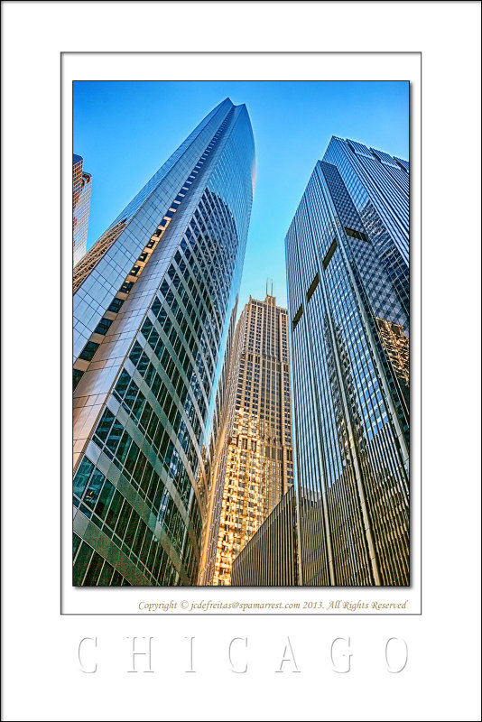 2008 - Chicago, Illinois - USA