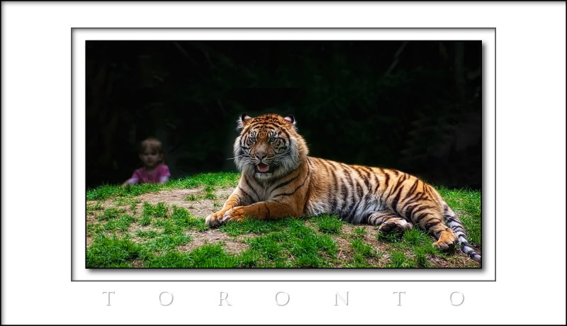 2013 - Toronto Zoo, Ontario - Canada