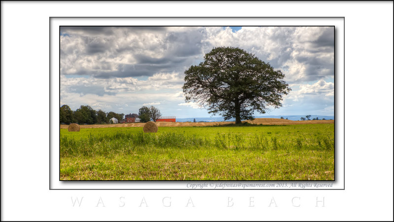 2013 - Simcoe, Ontario - Canada