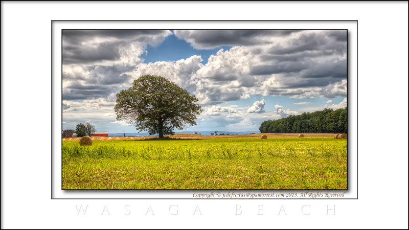 2013 - Simcoe, Ontario - Canada