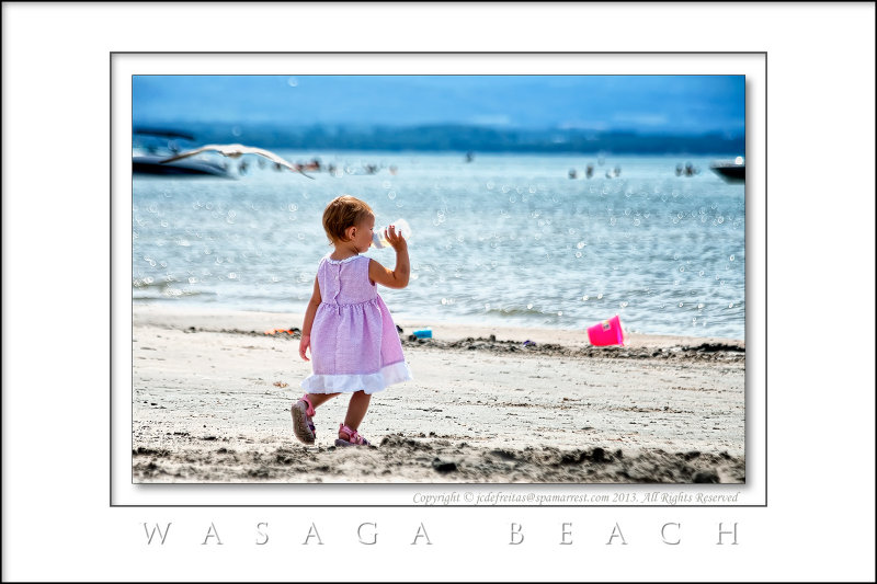 2013 - Wasaga Beach, Ontario - Canada