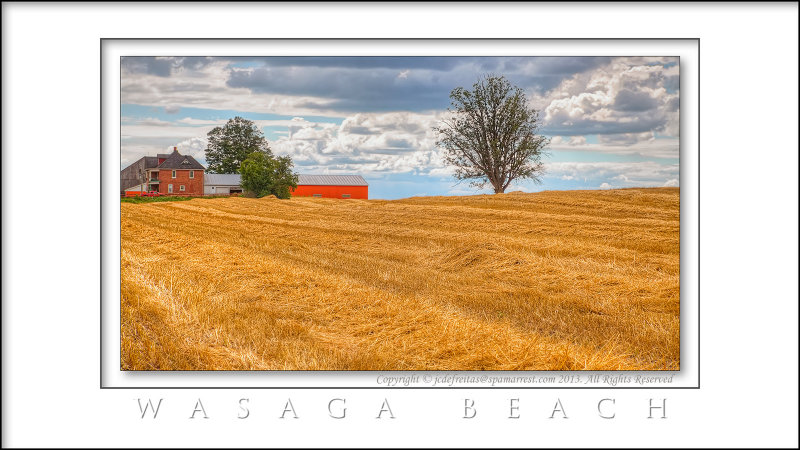 2013 - Simcoe, Ontario - Canada